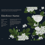 Cocktail Botanica : 60+ drinks inspired by nature by Elouise Anders