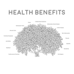 Natural Superfood Mastiha / Mastic Gum Medium Tears