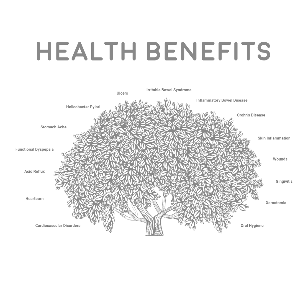 Natural Superfood Mastiha / Mastic Gum Medium Tears