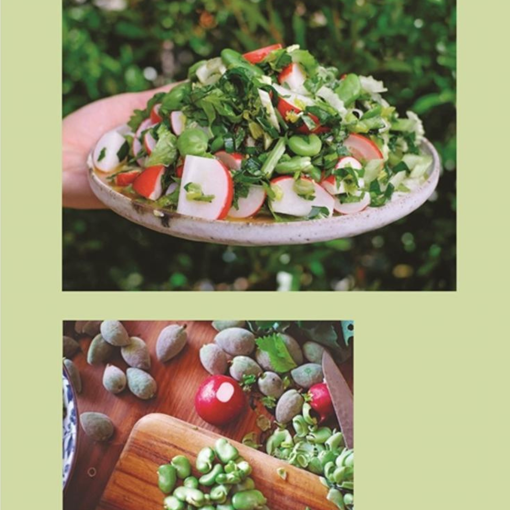 Very Good Salads: Middle Eastern salads by Shuki Rosenboim and Louisa Allan