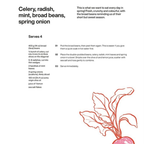 Very Good Salads: Middle Eastern salads by Shuki Rosenboim and Louisa Allan