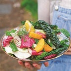 Very Good Salads: Middle Eastern salads by Shuki Rosenboim and Louisa Allan