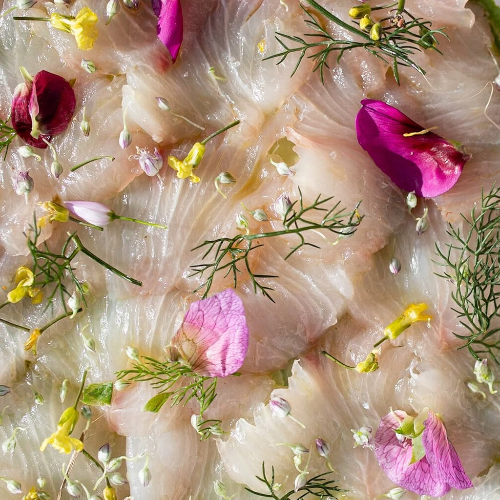 Raw fish with flowers and herbs on a white background