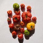 Assorted tomatoes of different colors on a light background