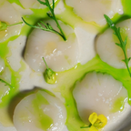 Close-up of scallops with green sauce and arugula on a white plate